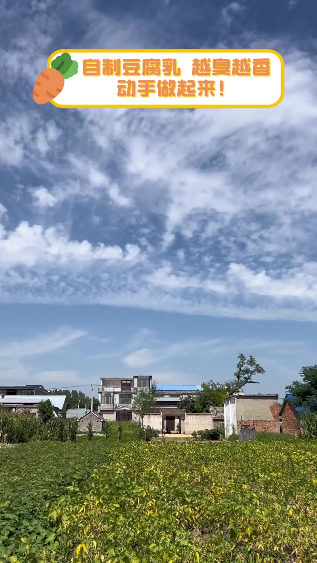 自制豆腐乳,越臭越香,动手做起来!