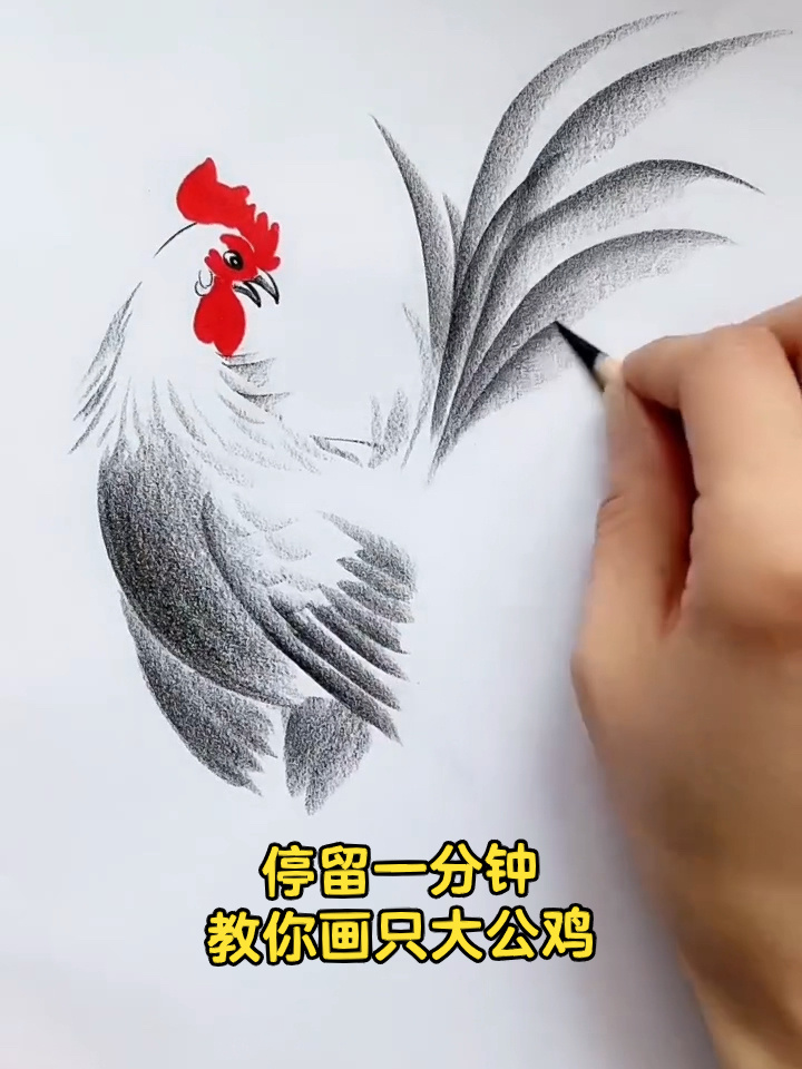 停留一分钟教你画只大公鸡