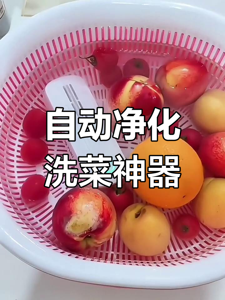 九阳清洗机,杀菌去农残,自动洗菜更省力