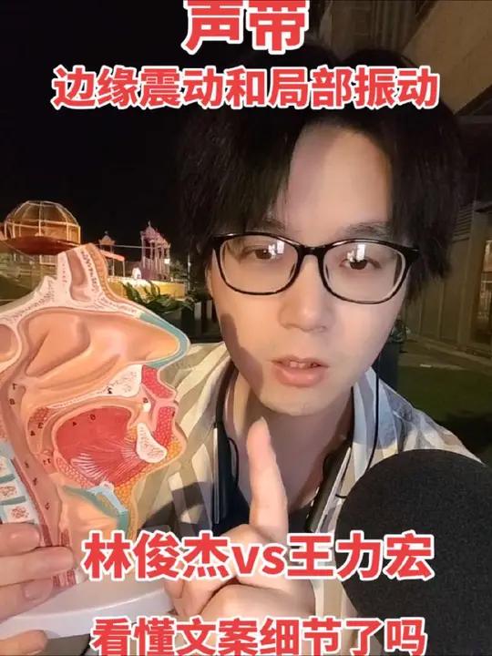 vsm嗓音科学肌肉训练法配合气声平衡sls 最近很火的“失恋无罪”周杰伦,林俊杰,王力宏发