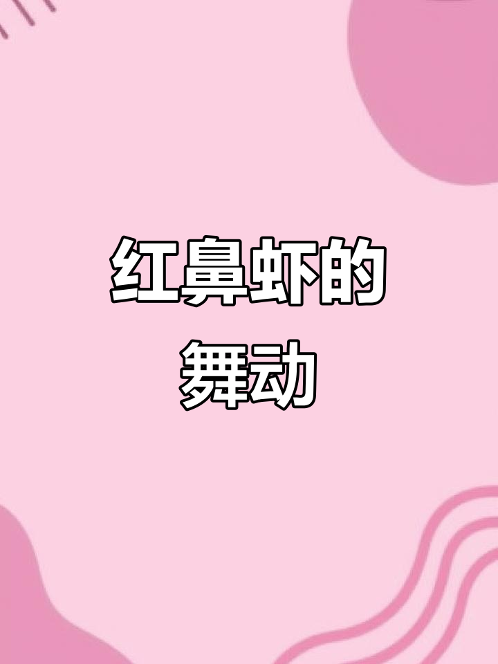 红鼻虾,美丽又活泼,透明身躯跳跃水中