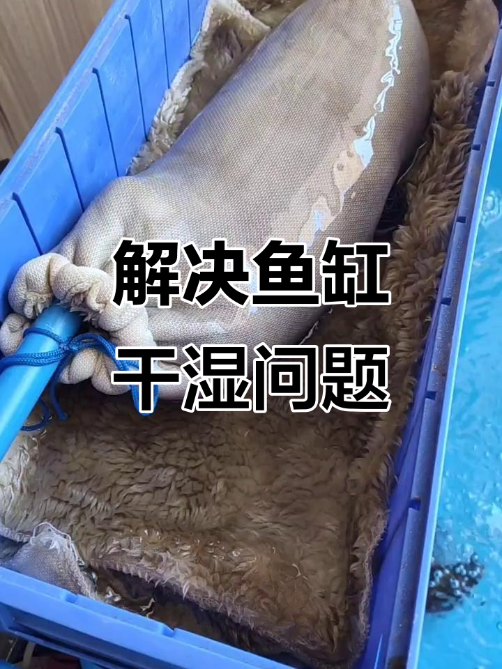 干湿分离小技巧,解决鱼缸烦恼