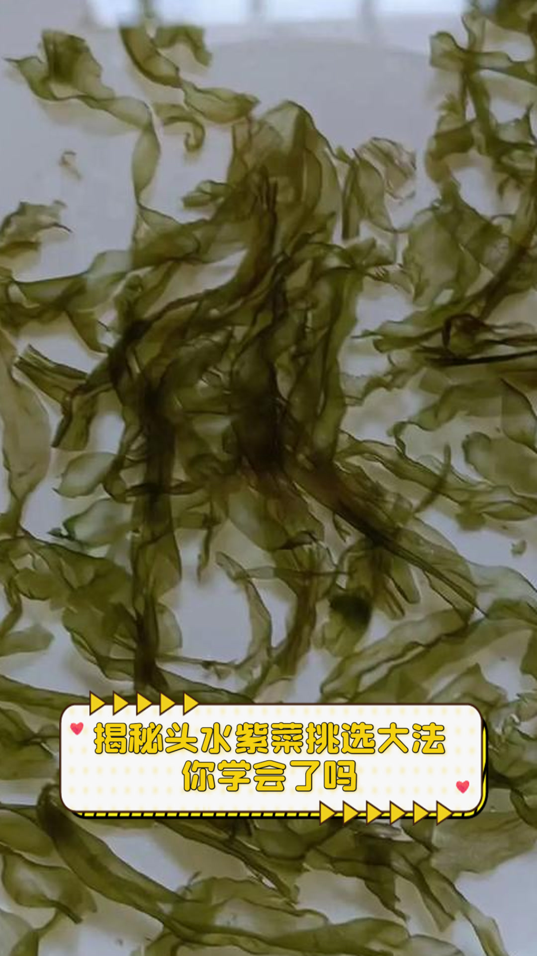 揭秘头水紫菜挑选大法,你学会了吗