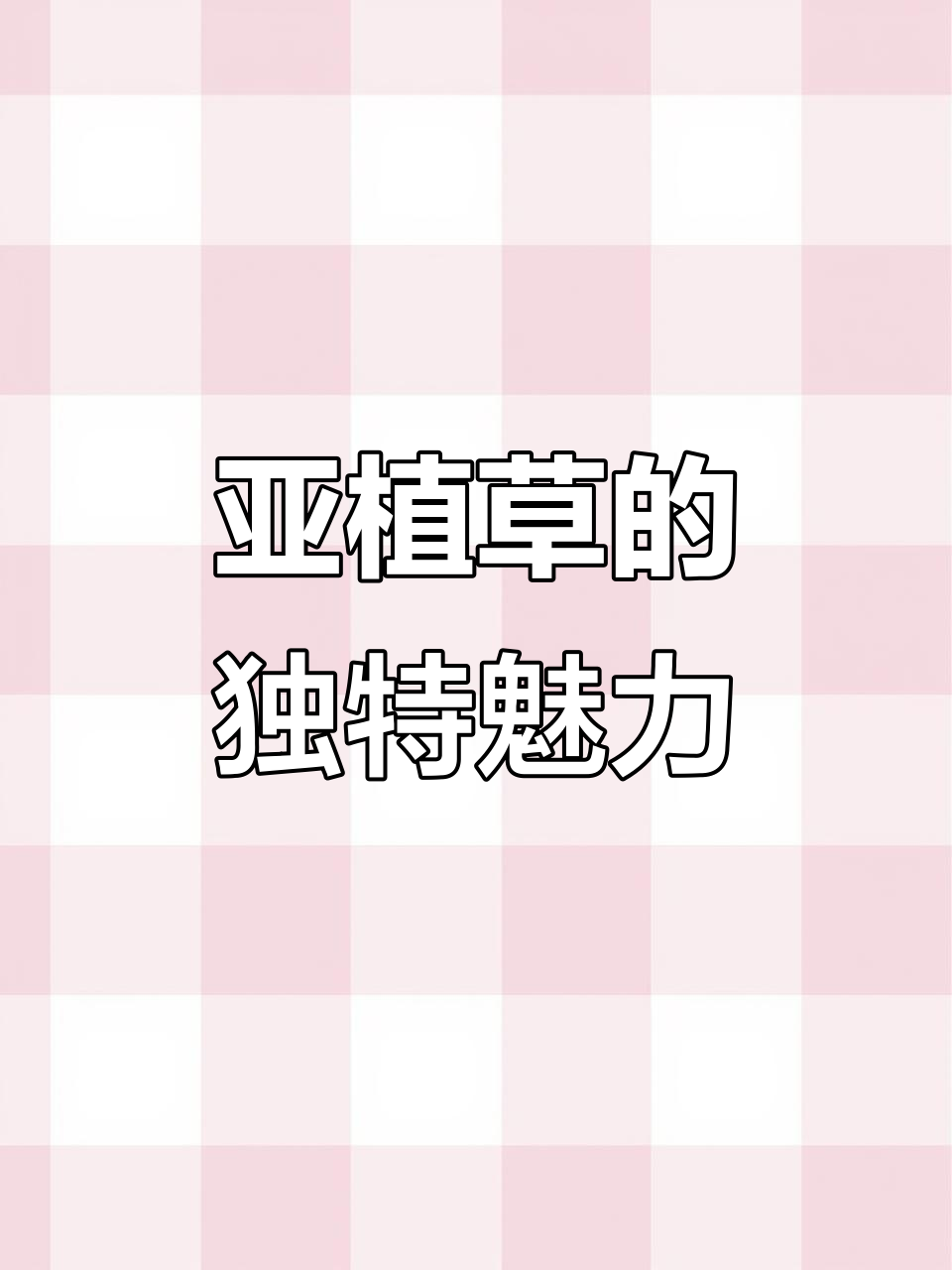 亚植草:既像鸭舌又似竹叶,蓝色花朵惊艳你!