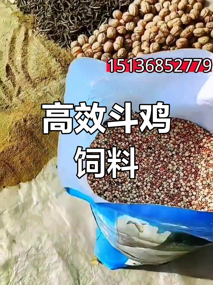斗鸡养殖科学配方,提升打料效果