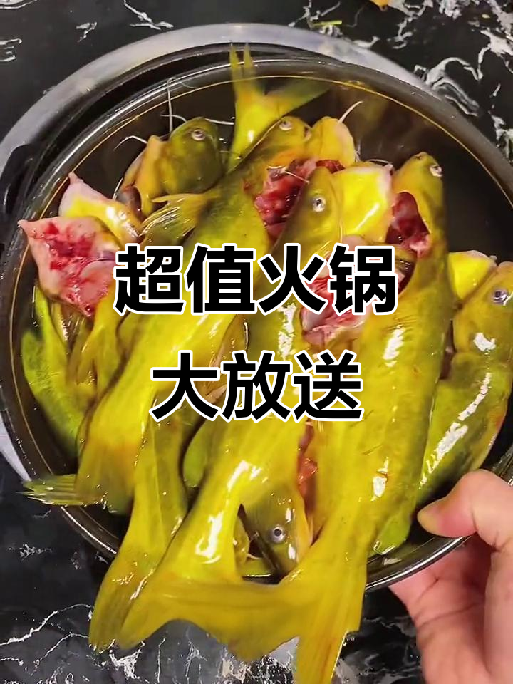 9.9元火锅,锅底、蘸料加一公斤鱼,超值!