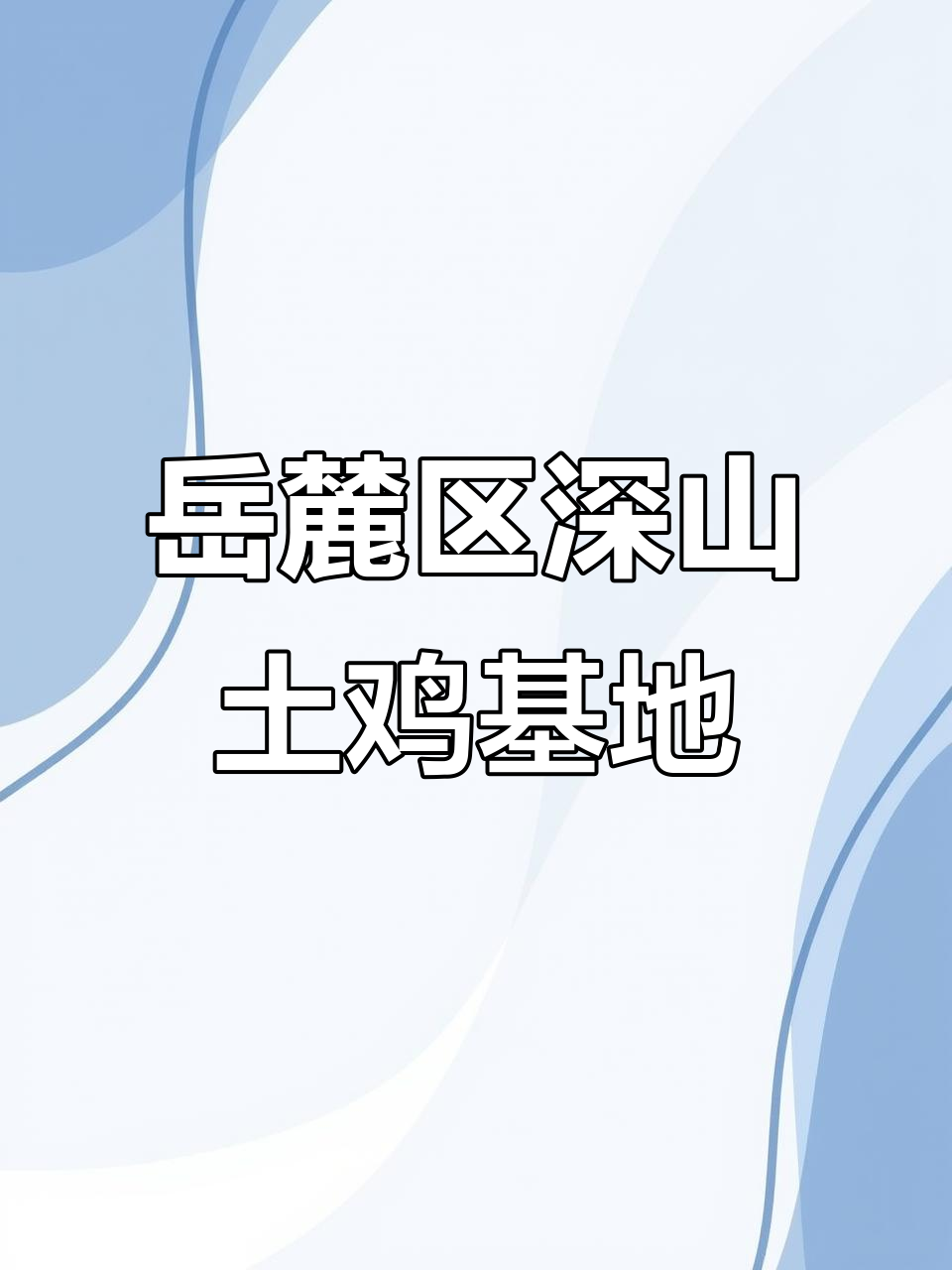 长沙岳麓深山宝藏土鸡养殖基地,散养四百天,品质保证