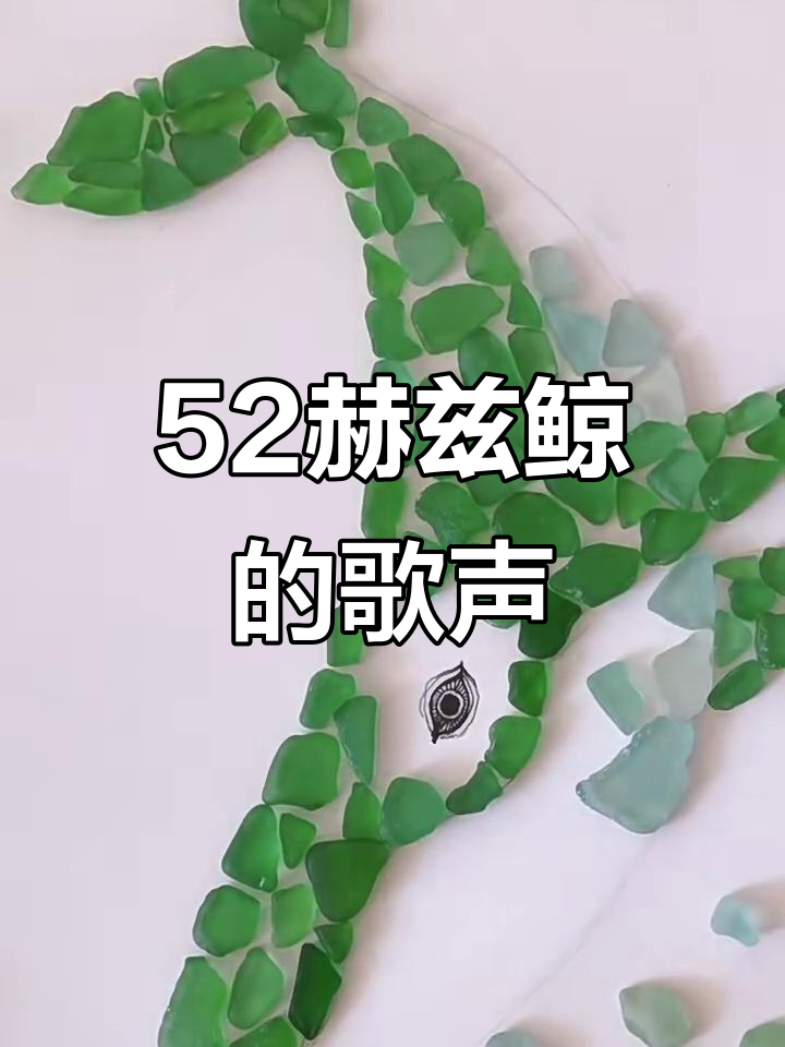 52赫兹的鲸鱼:孤独的声音,穿越海洋