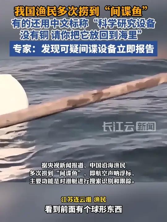 我国渔民多次捞到“间谍鱼”，有的还用中文标称“没有铜，请放回到海里”