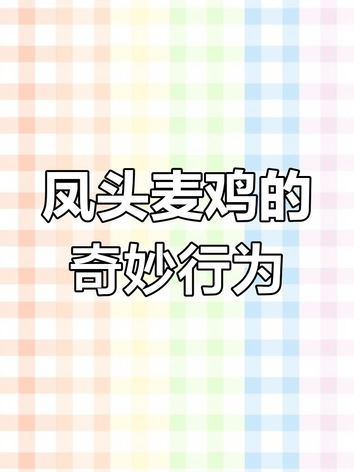 凤头麦鸡:领地意识强的神秘鸟类