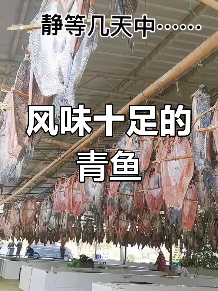 风干青鱼,口感丰富,多种做法皆美味