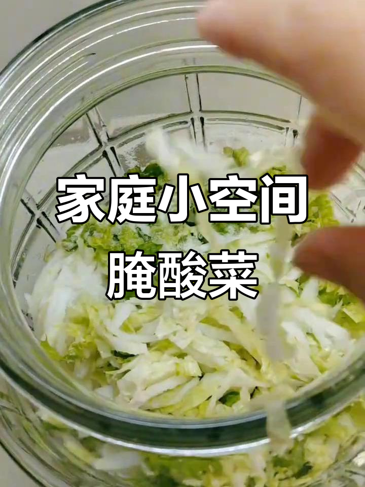小空间也能腌酸菜,切丝腌制过冬美味