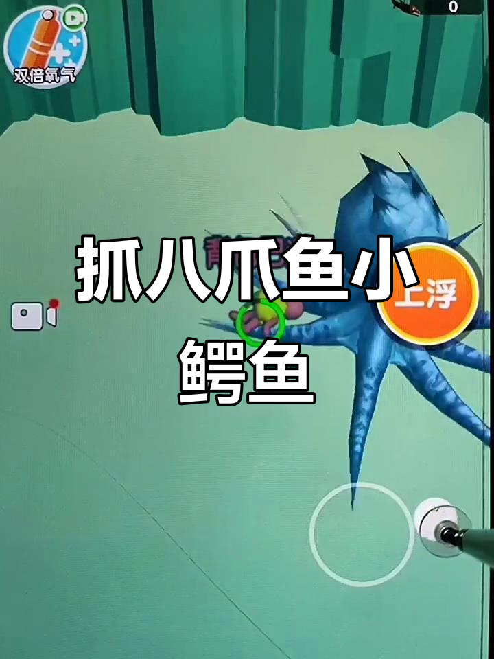 水族馆大冒险:抓八爪鱼和小鳄鱼,太刺激了!