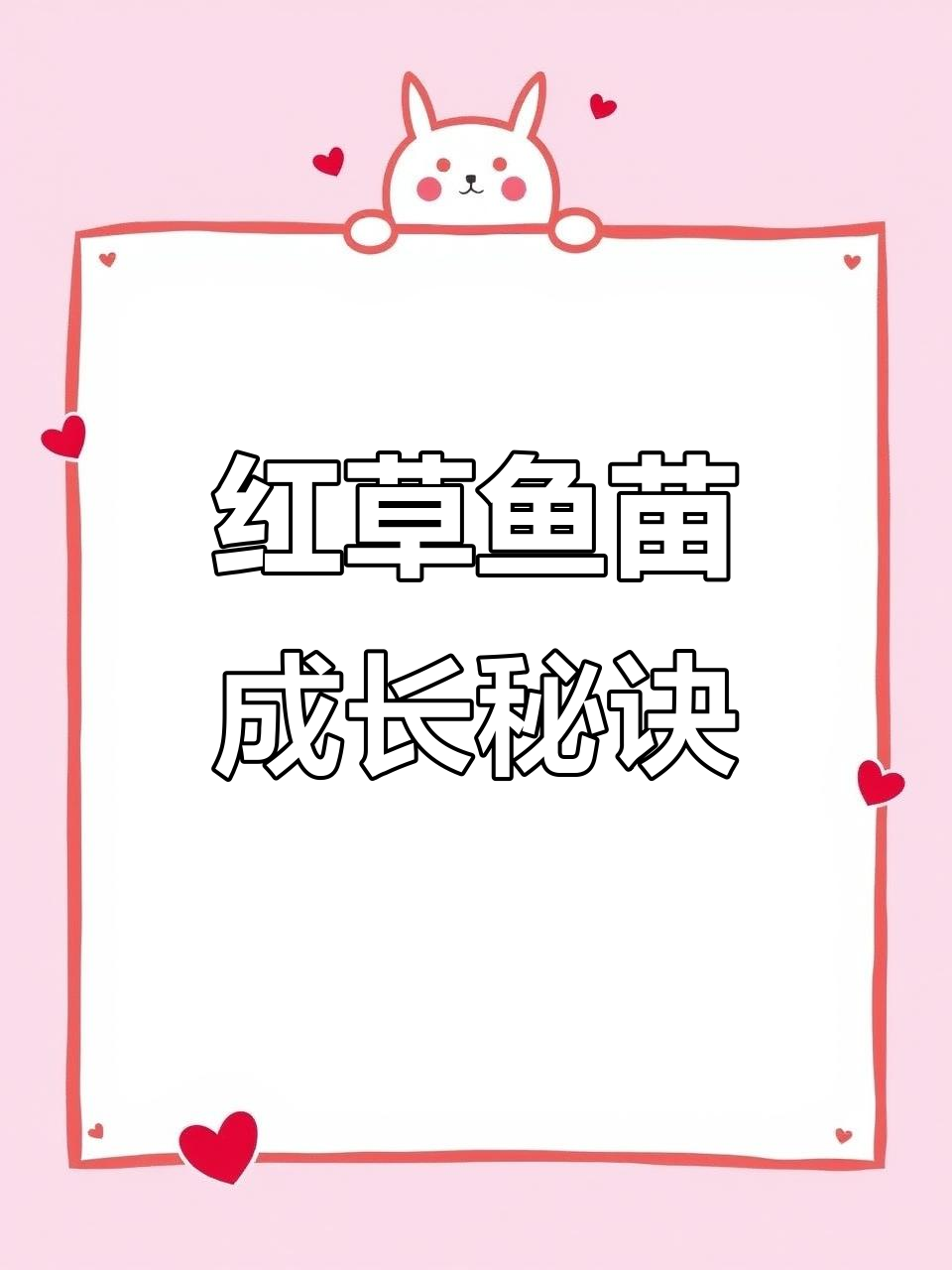 雄安红草鱼苗与锦鲤饲料选择揭秘,如何让它们健康成长