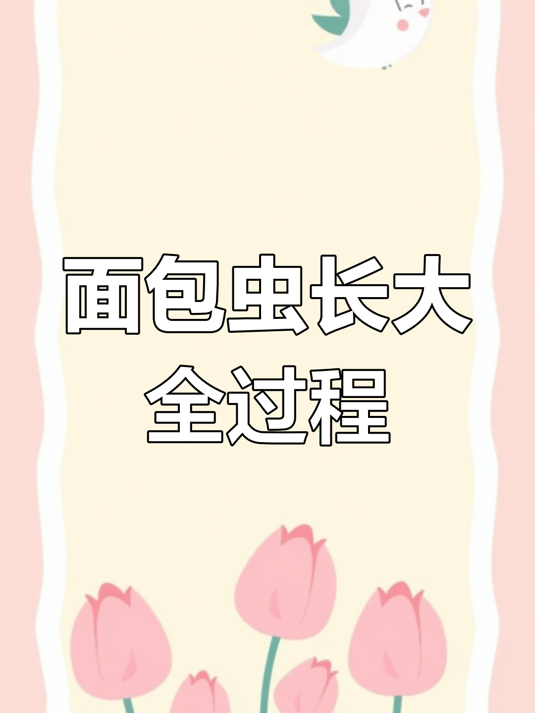 面包虫成长揭秘:从幼虫到甲虫的蜕变过程