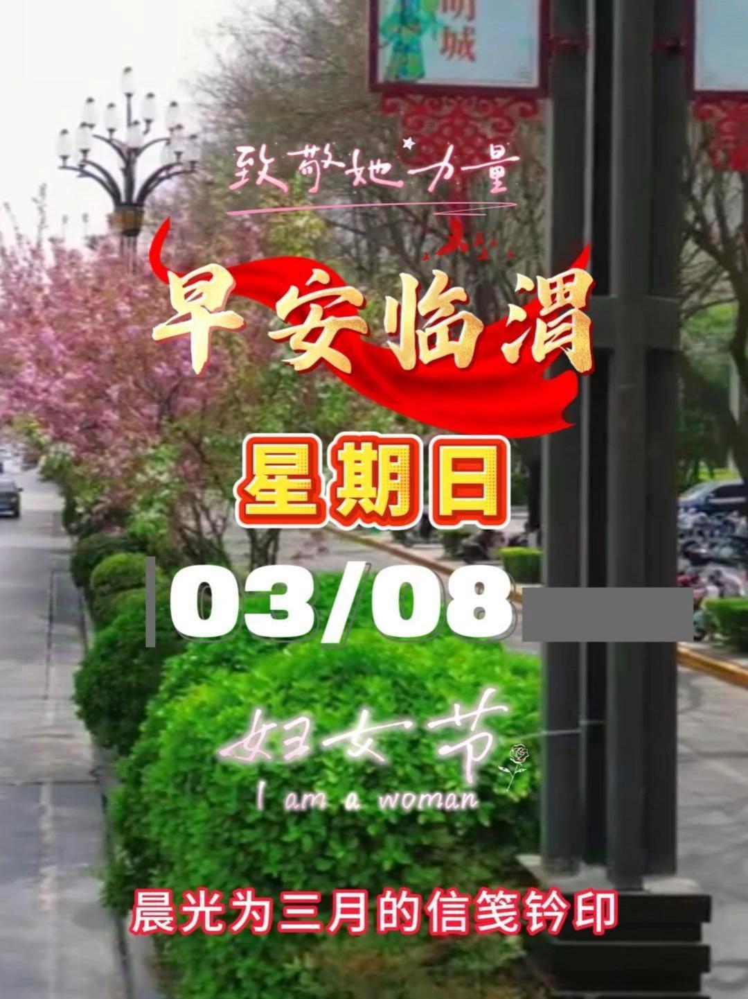 今天是2026年3月8日,星期日,农历正月二十 #早安临渭 #三八妇女节