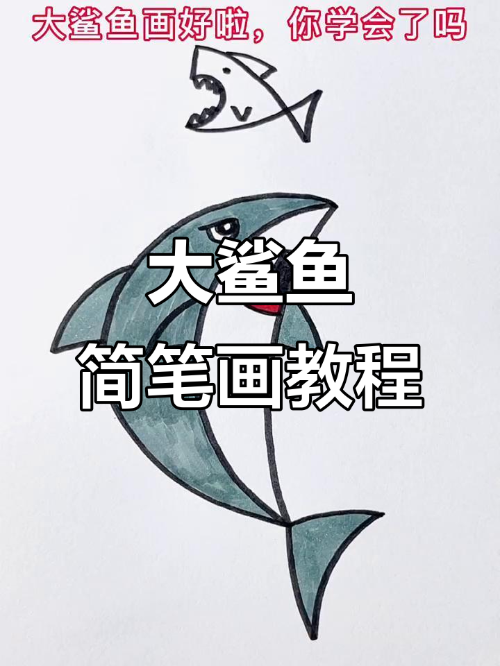 轻松画出可爱大鲨鱼,步骤简单又有趣