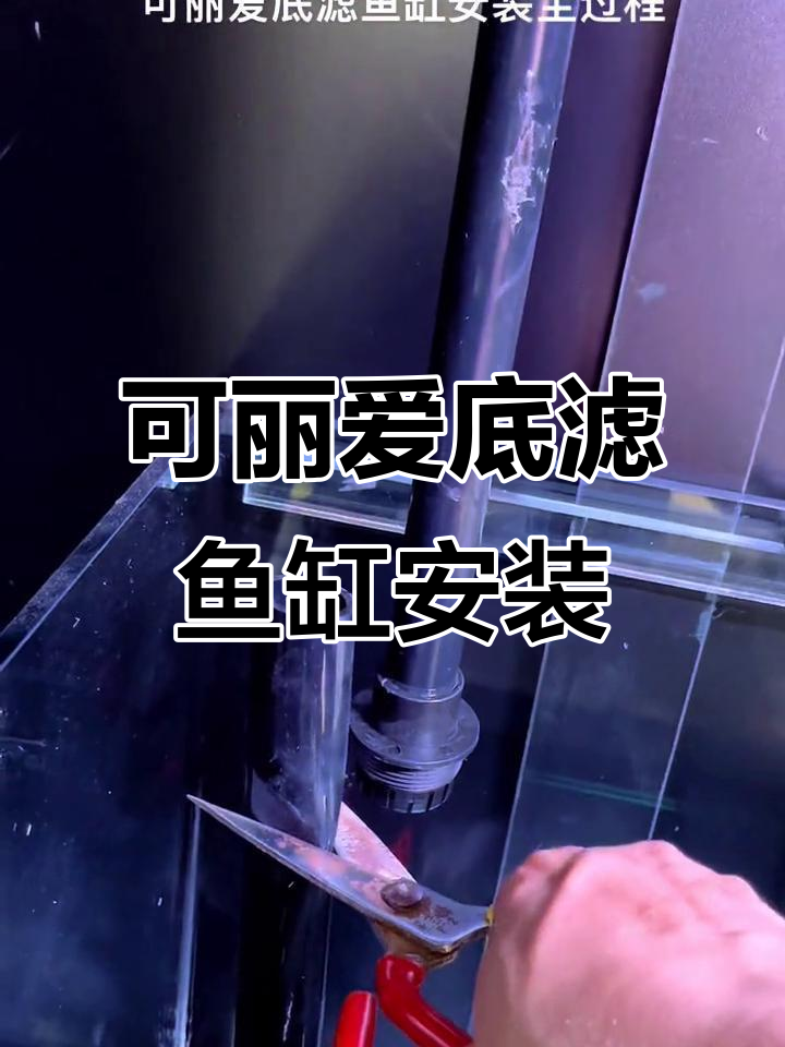 底滤鱼缸安装全流程,轻松搞定!