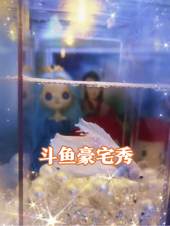 当斗鱼住进水晶宫殿,白富美与黑骑士的悠闲日常