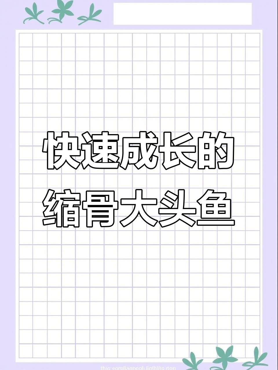 缩骨大头鱼:短身胖头大,生长迅速的优质品种