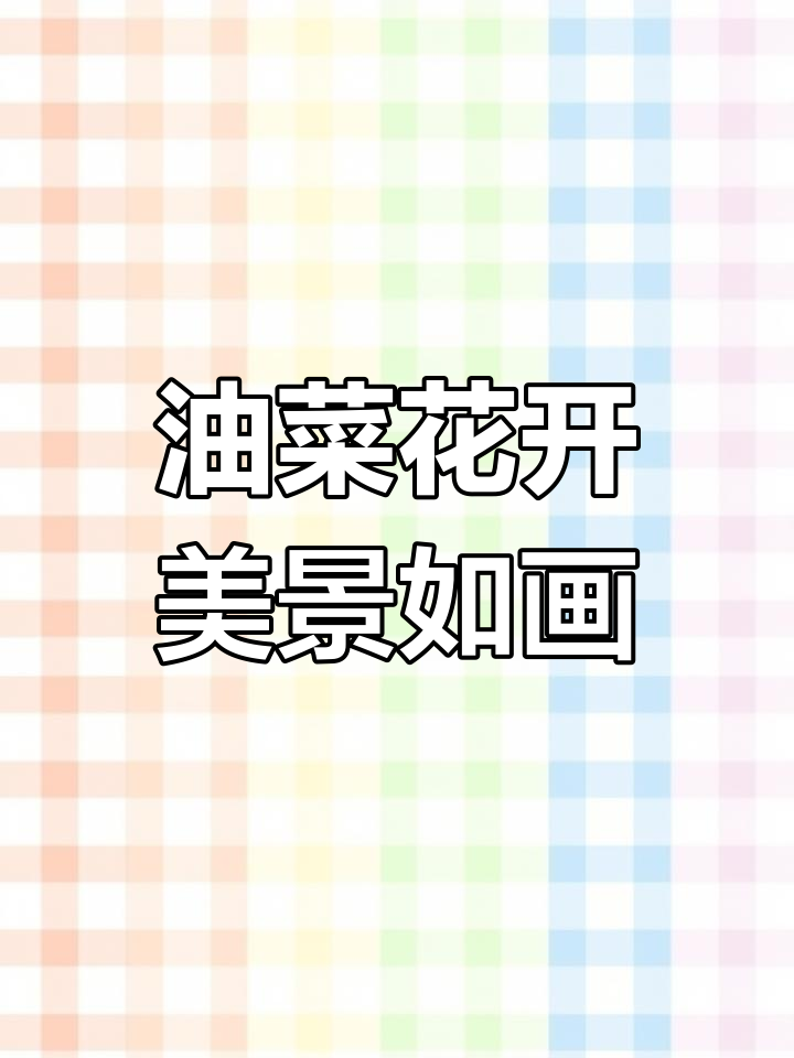 青海12万亩油菜花盛开,美如油画般震撼心灵