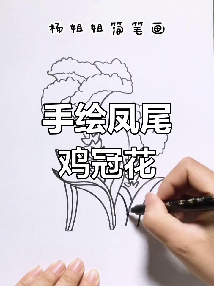 轻松学会凤尾鸡冠花手绘,步骤详解让你快速上手