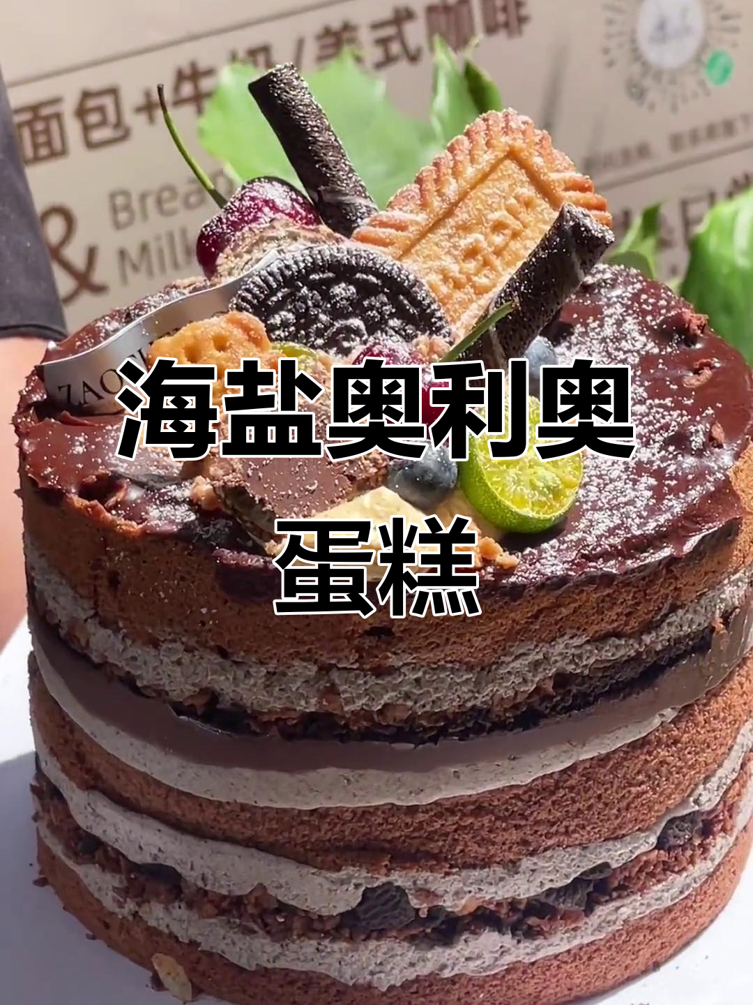 海盐奥利奥蛋糕,口感超赞!郑州定制甜品推荐
