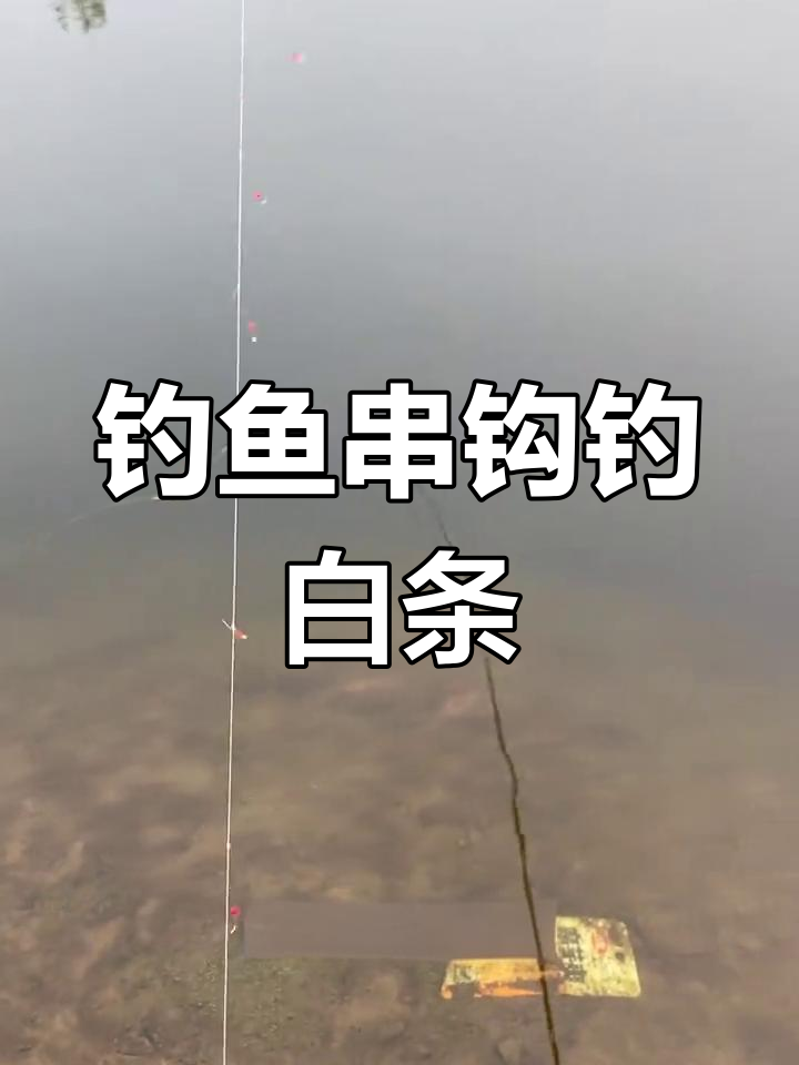 串钩钓白条技巧大揭秘,轻松搞定吃不完!