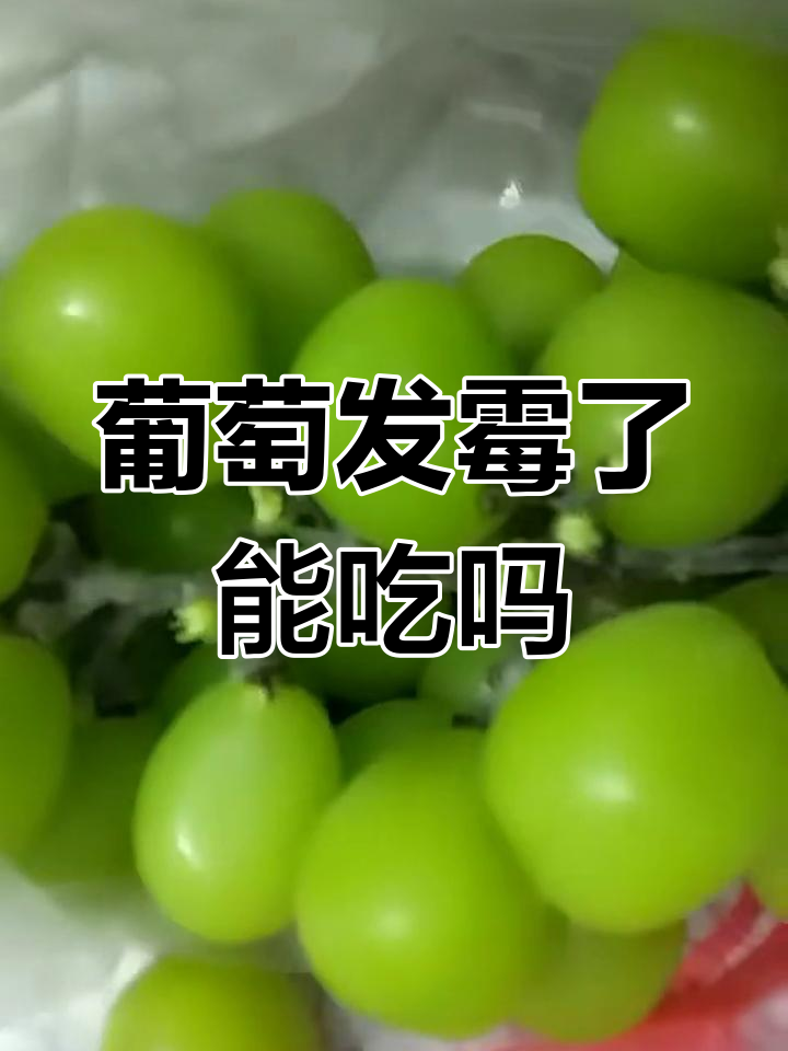 葡萄枝干发霉,毛长得很厉害,还能吃吗?