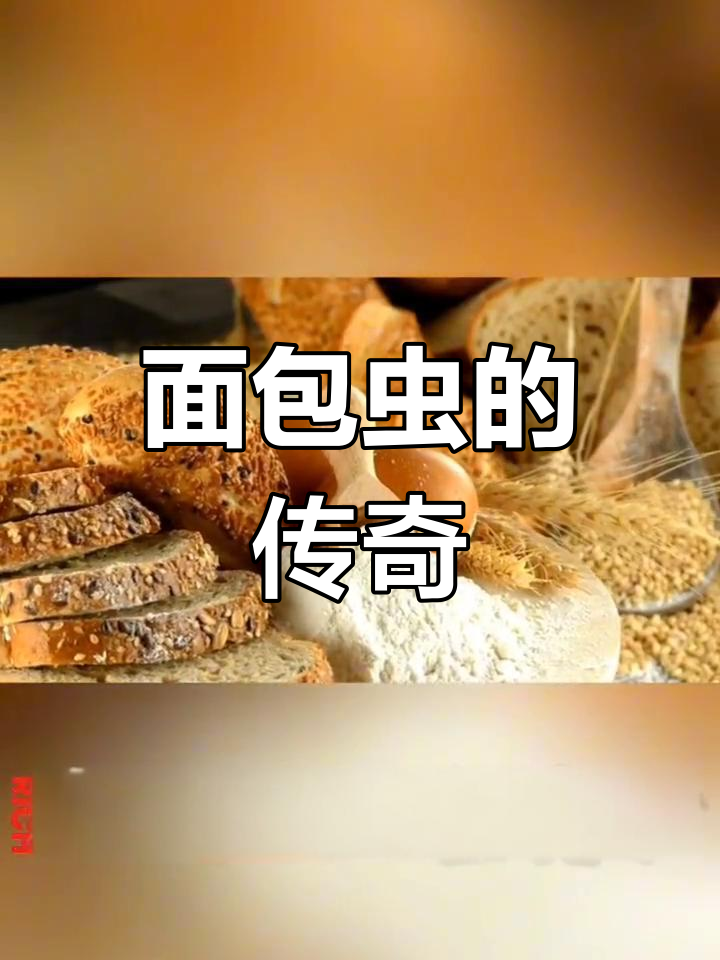 黄粉虫因香气扑鼻,在中世纪欧洲被称作“面包的秘密香料”