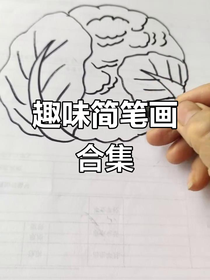 精彩简笔画视频，创意无限