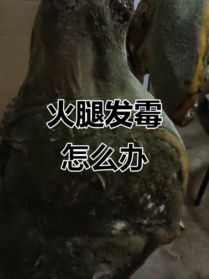 火腿发霉了,还能吃吗?教你如何处理