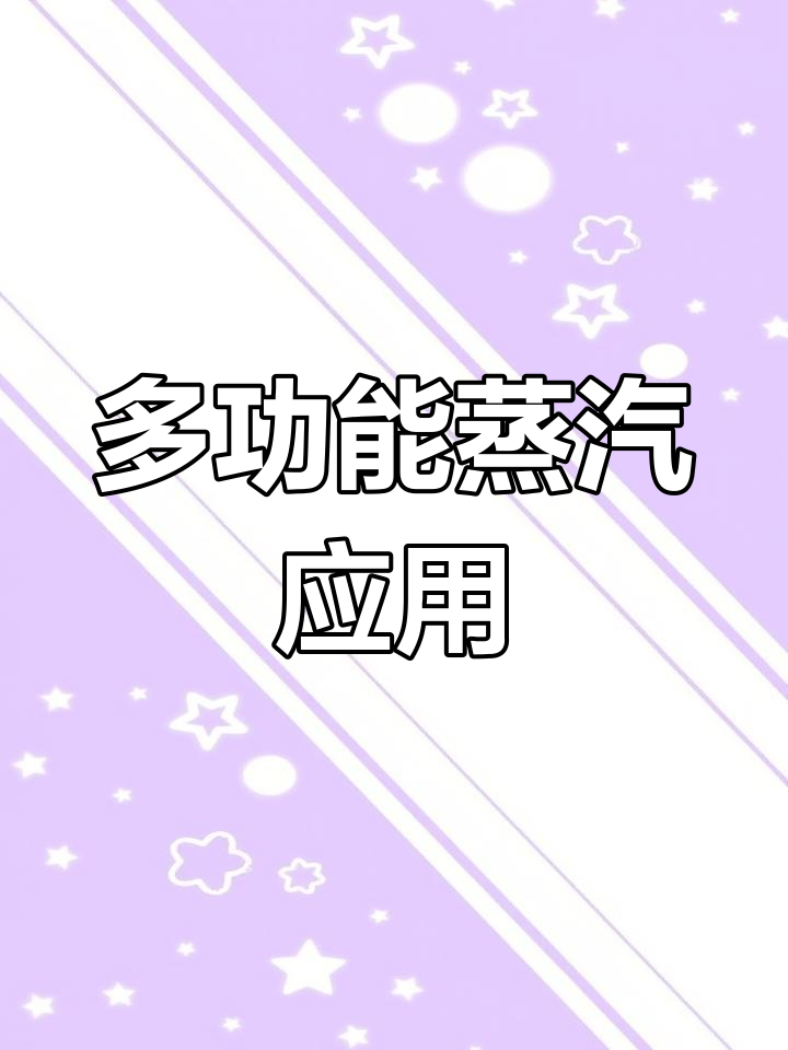 蒸汽发生器适用于多个行业,包括食品、洗涤与工业蒸馏等