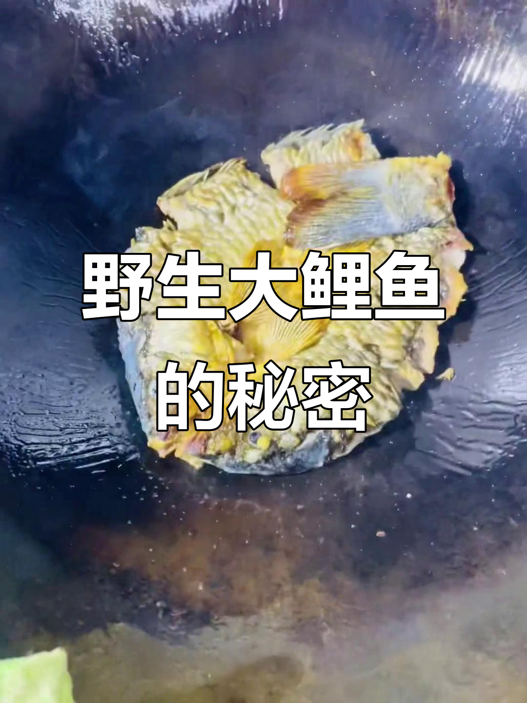 吃野生大鲤鱼,鳞片不用刮也能吃