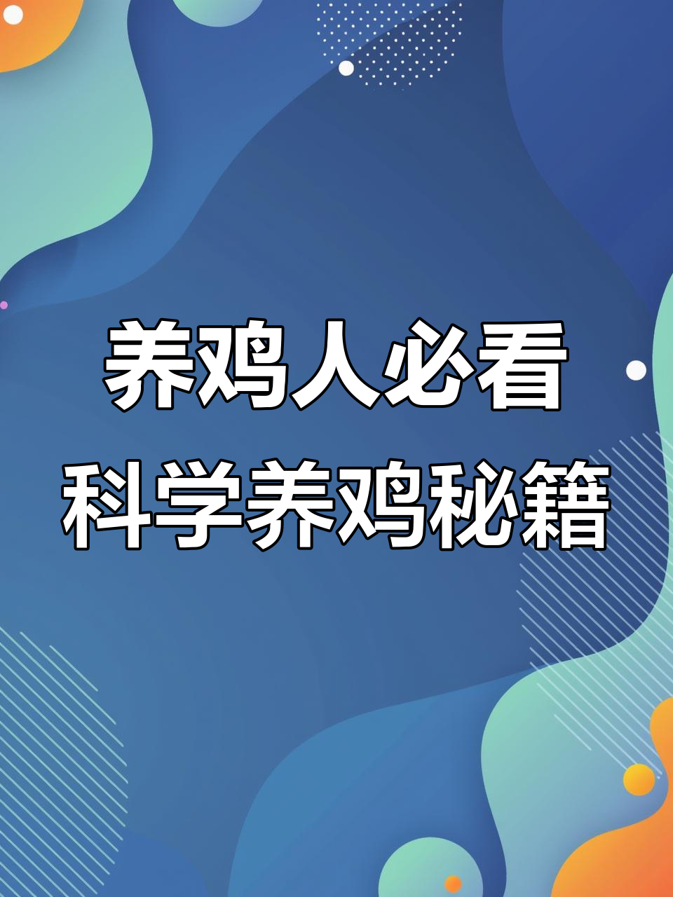 蛋鸡养殖小技巧,轻松解决常见问题