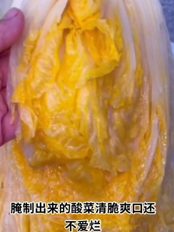 东北酸菜腌制
