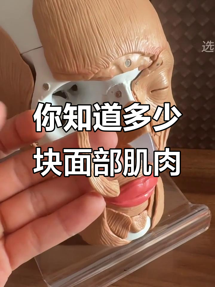 面部肌肉大揭秘：你了解这些表情背后的秘密吗？