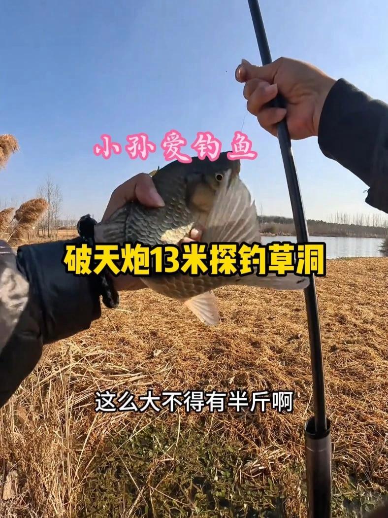 钓鱼王破天炮,斤鲫直飞,东丽40T+46T碳布打造,多规格选择,首发加上年终大促,现在入手