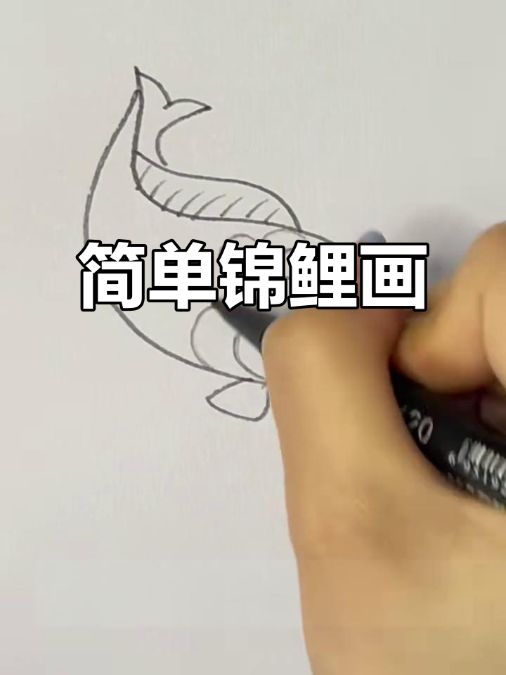 锦鲤简笔画，轻松画出可爱鱼鳞和背鳍