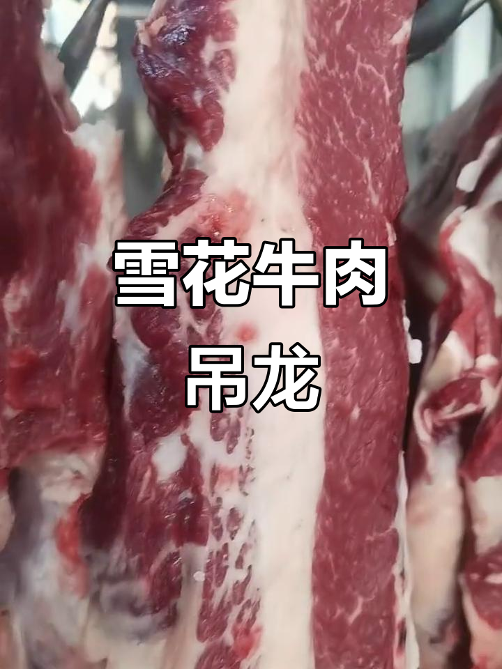 大肥牛直营店:雪花牛肉吊龙,煎烤涮都超美味