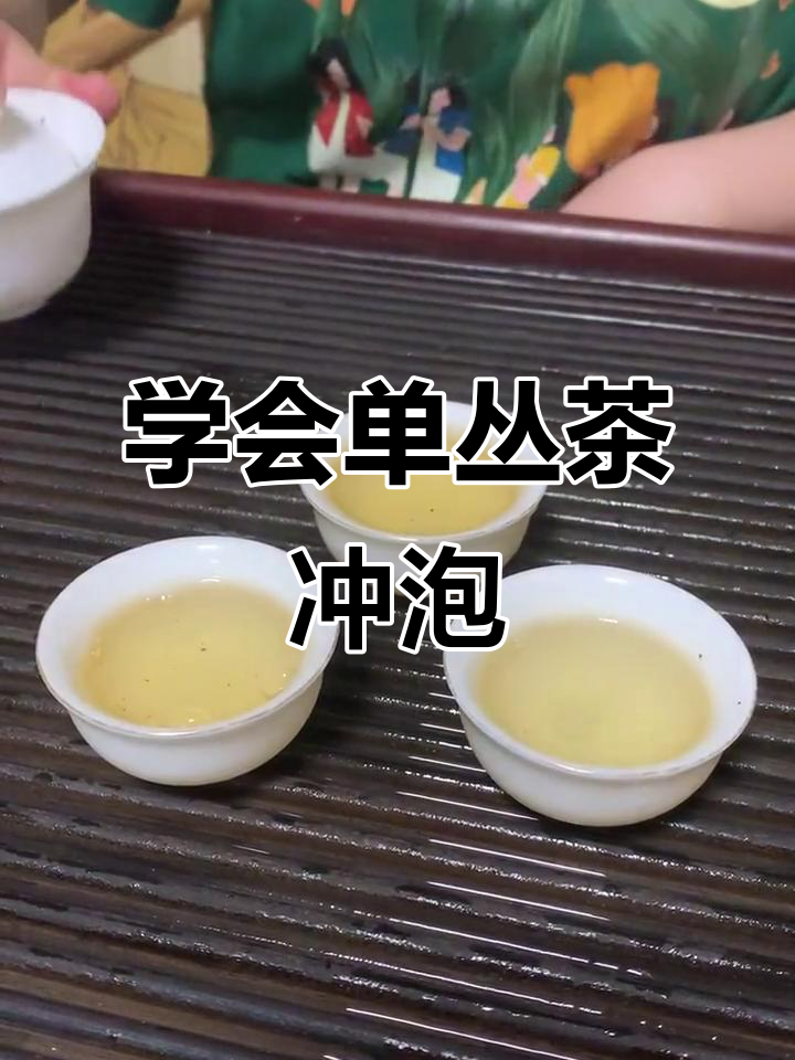 单丛茶冲泡技巧大揭秘,掌握这五招让每一杯都完美