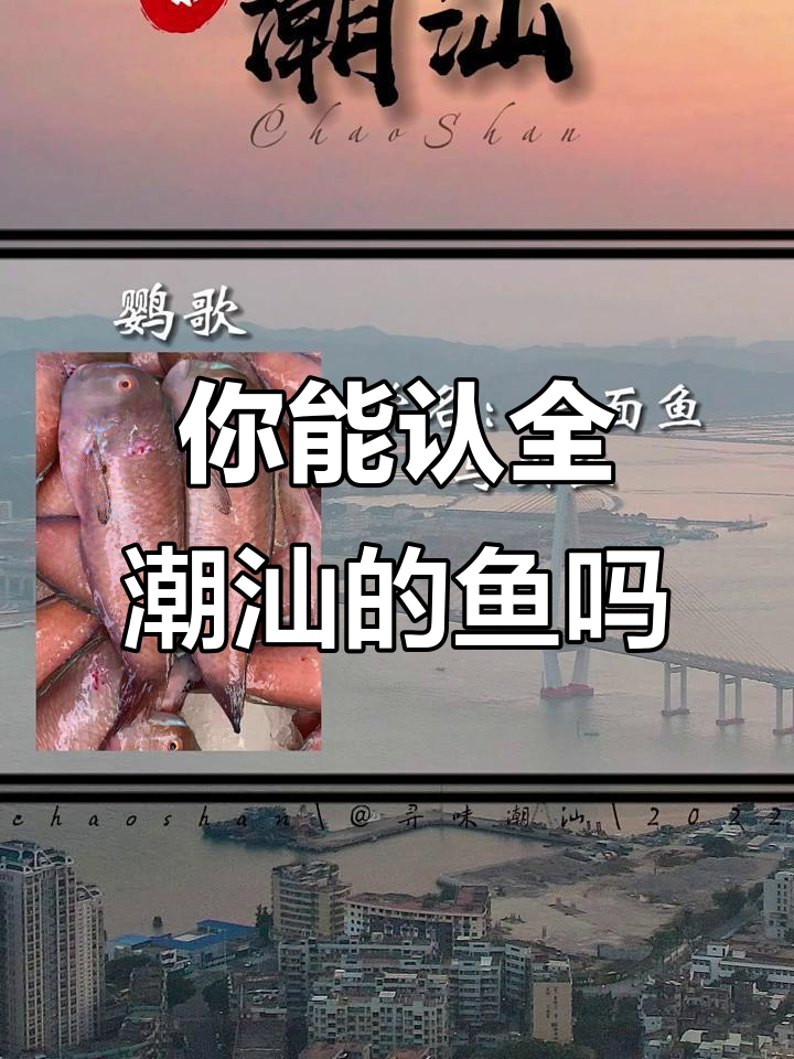 潮汕海鲜大揭秘!这些鱼你都能叫出名字吗?