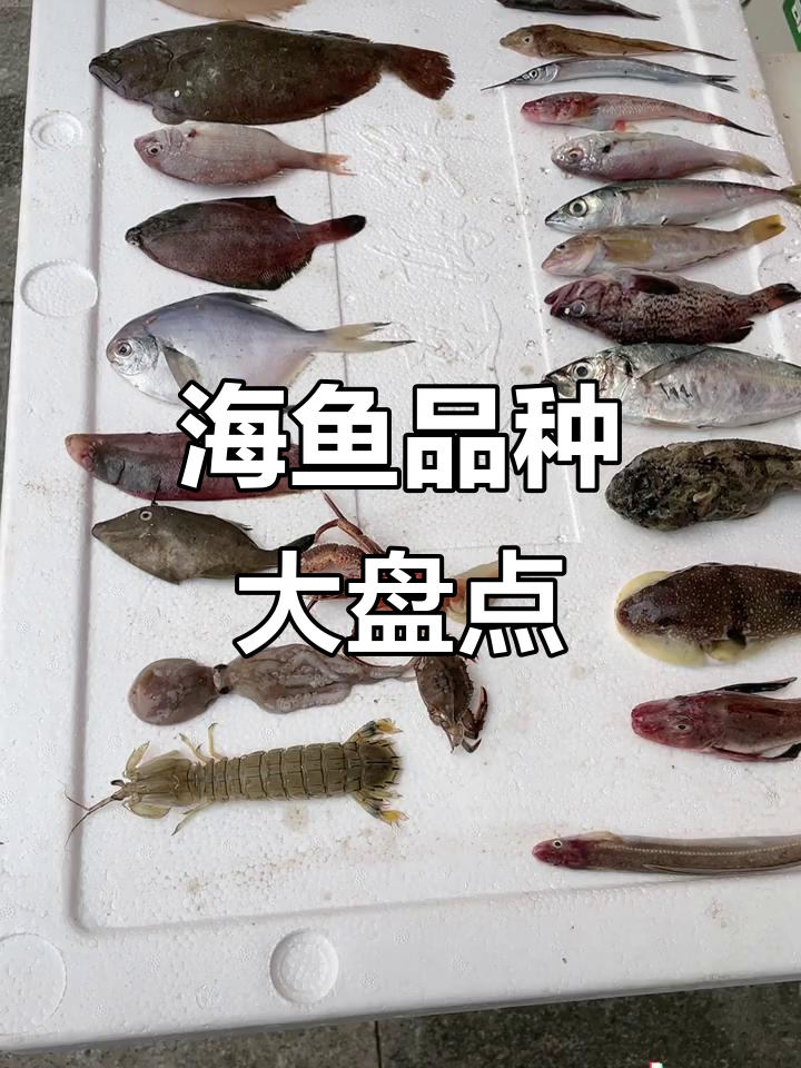 各种海鱼品种大揭秘，你能猜出它们吗？