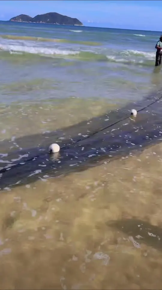 实拍渔民生活，清澈海水中漂亮鱼儿尽收眼底