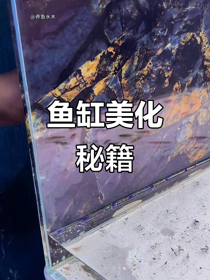 鱼缸升级必备，3D仿真背景让空间感瞬间翻倍！