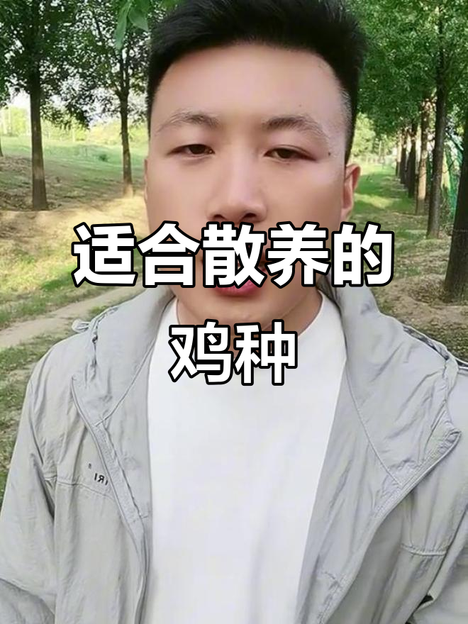 农村散养鸡品种选择指南，哪些最适合你？
