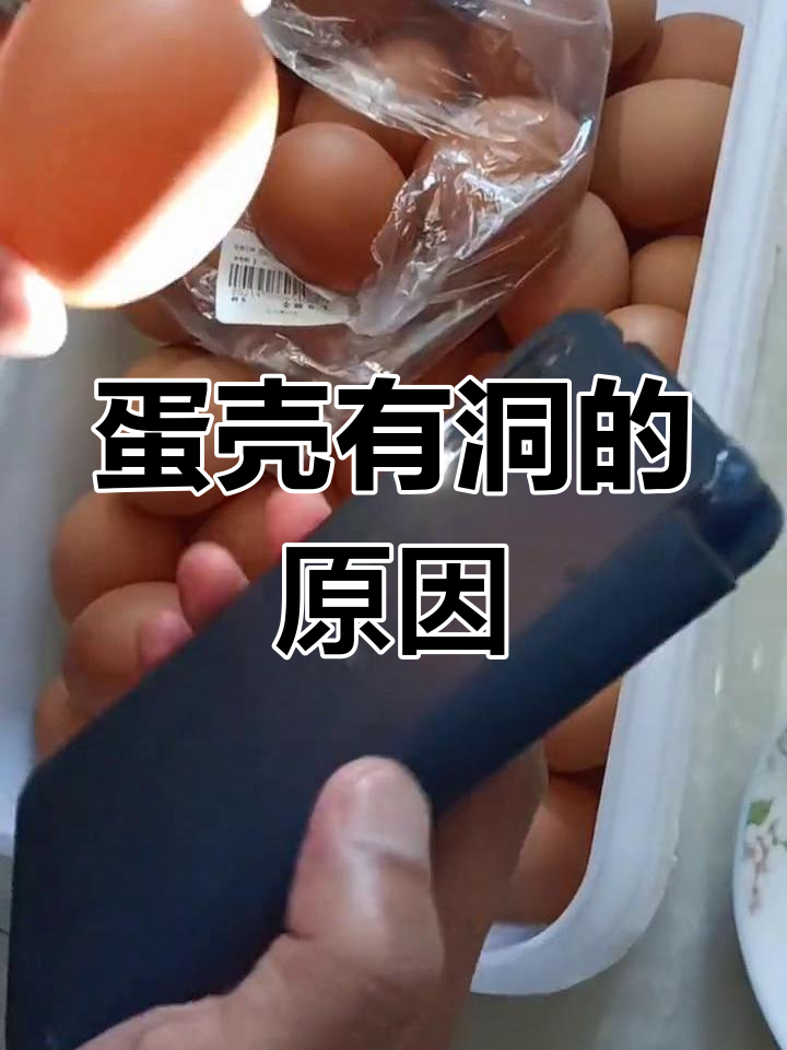鸡蛋蛋壳上的小气孔,原因揭秘