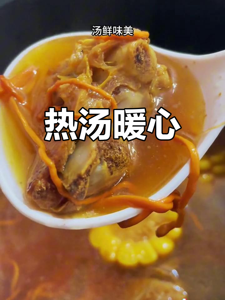 寒冬里一碗热腾的虫草排骨汤,温暖又美味