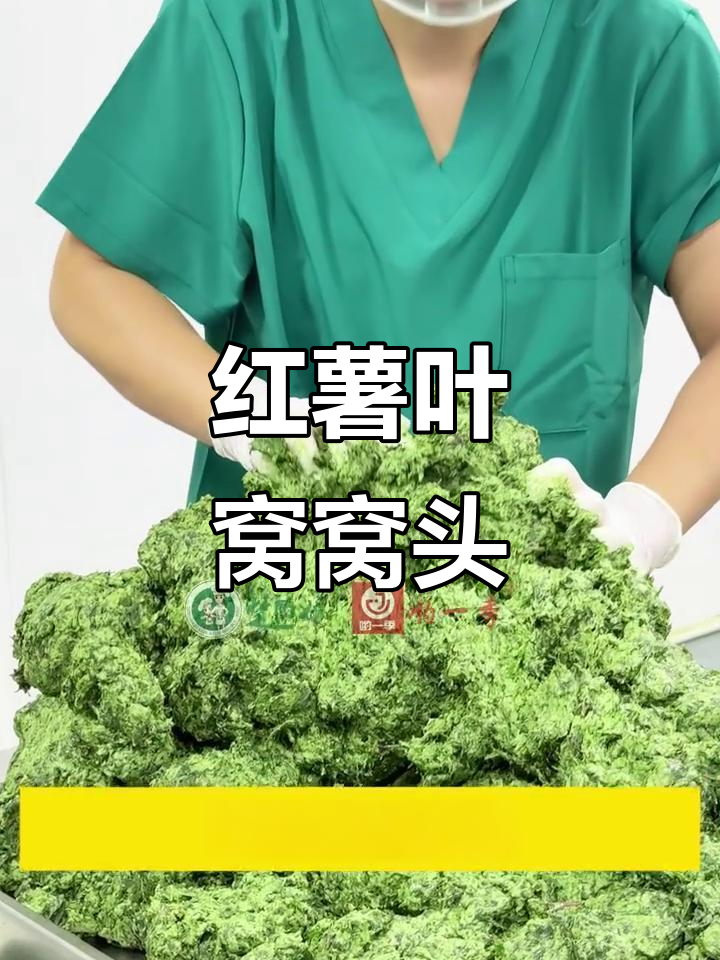 地瓜叶窝窝头,控糖又美味,蒸十分钟搞定