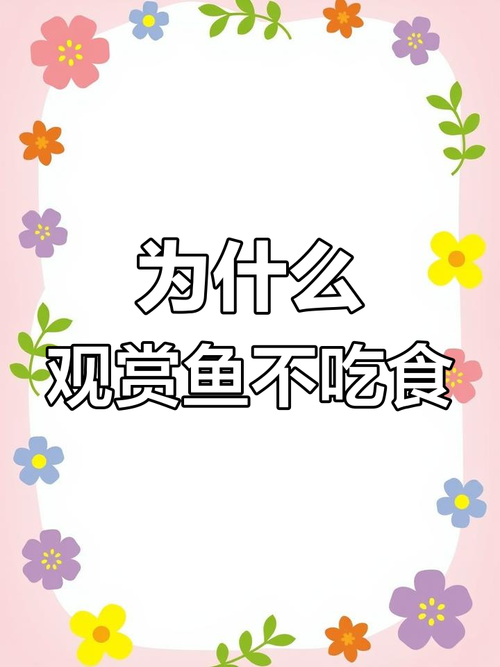 观赏鱼不吃食?这些原因你得知道